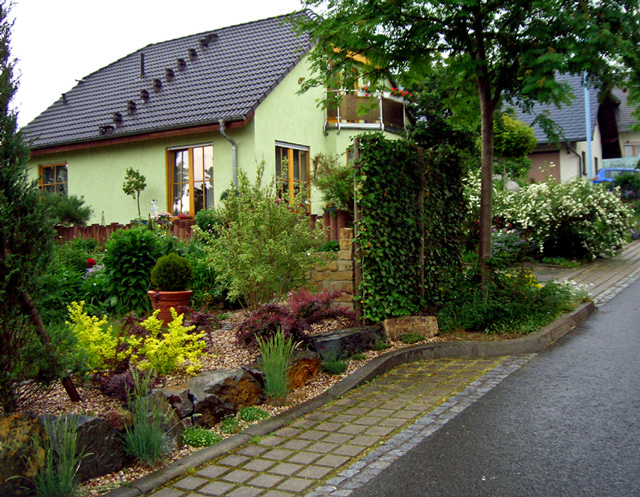 Referenzbild: 25 Gelb- und rotlaubige Berberitze bilden gemeinsam mit Säulen-Wachholder eine farbenfrohe Gartenfront.