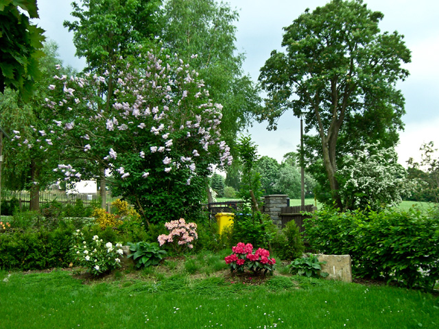 Referenzbild: 43 Ein kleiner Rhododendrenhügel zieht den Blick auch in die äußerste Ecke des Gartens.
