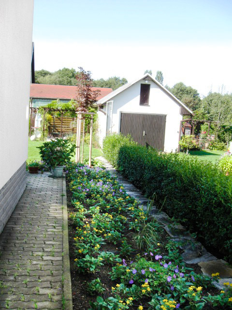Referenzbild: 165 ein gelb-blaues Blütenband begleitet den bereits vorhandenen Weg in den hinteren Garten